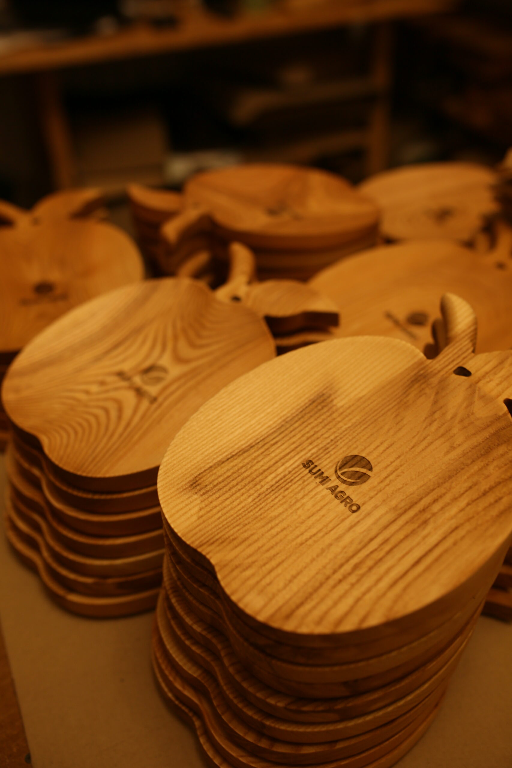 B2B project Borovets Wooden
